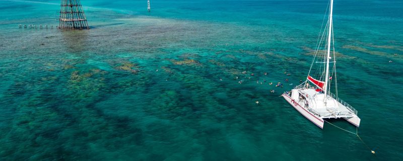 16284-dolphin-and-snorkel-tour-in-key-west-1674743708