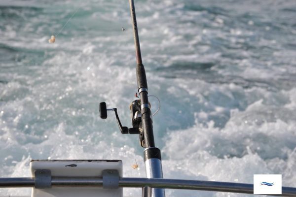 1629-pesca-en-cascais-1575397656