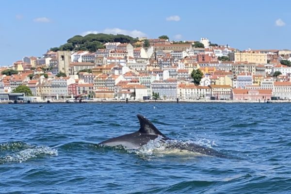 17328-junte-se-a-nós-neste-fantástico-passeio-1676479604