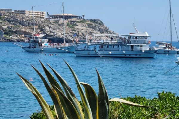 17347-tour-en-barco-rodas-1676483524