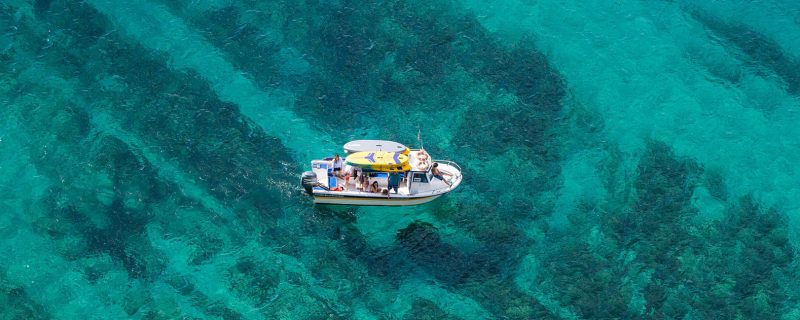 18163-private-boat-tour-sesimbra-luiz-saldanha-marine-park-1678016089