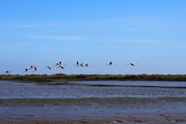 CÂMARA DIGITAL OLYMPUS