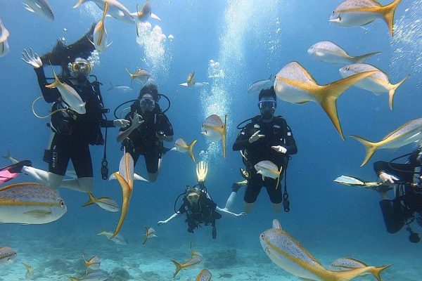 Scuba diving in St. Thomas