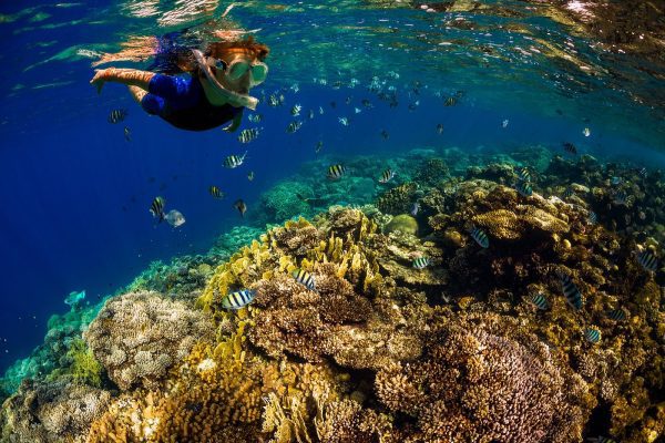 22770-snorkeling2-1699798408