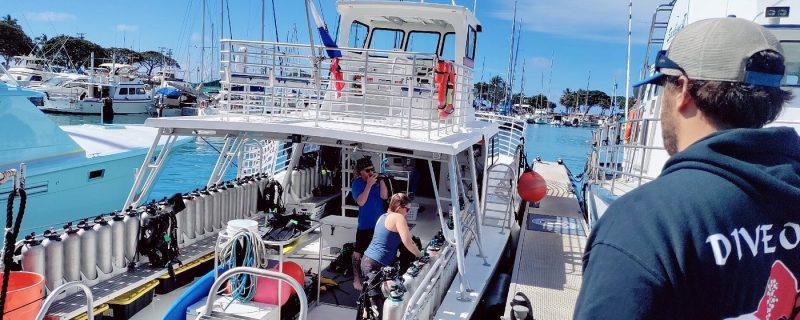 23429-boat-snorkeling-1700502844