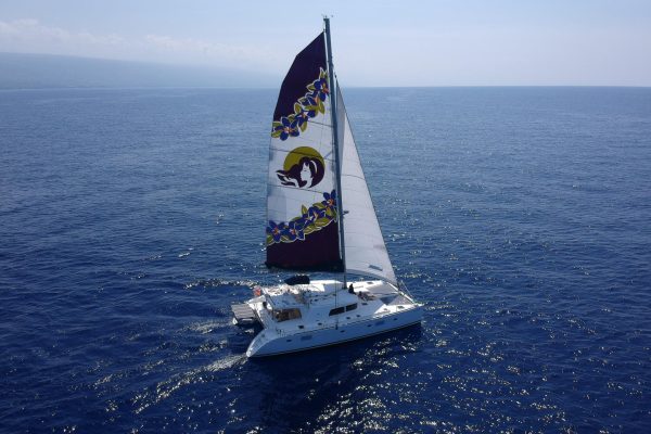 Panorama-Segelausflug in Waikiki mit Cocktails