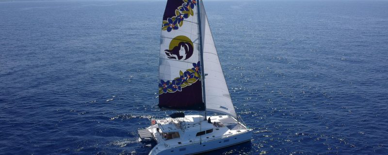 Panorama-Segelausflug in Waikiki mit Cocktails