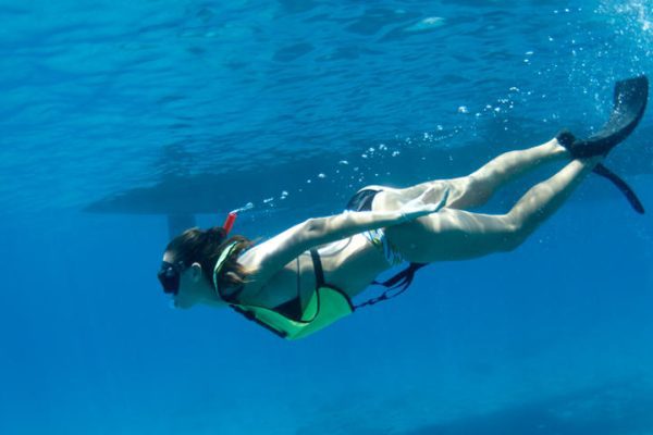 24251-snorkeling-tour-hawaii-1701684584