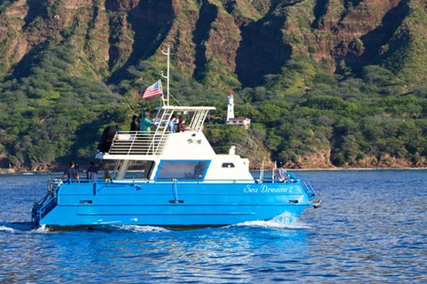 24266-snorkeling-boat-cruise-honolulu-1701692517