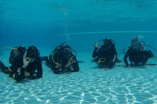 2440-cubierta-para-probar-buceo-en-madeira-1575398006