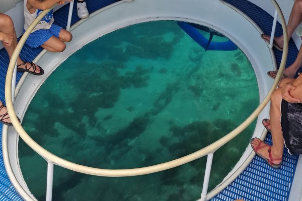 25606-private-bootstour-mit-glasboden-auf-den-azoren-1710264263