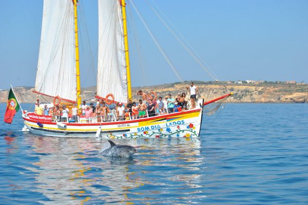 26309-cover-for-sailing-and-grotto-trip-from-lagos-1713967350