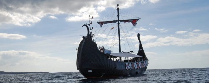 3194-whale-and-dolphin-watching-from-a-viking-ship-in-tenerife-1575398382