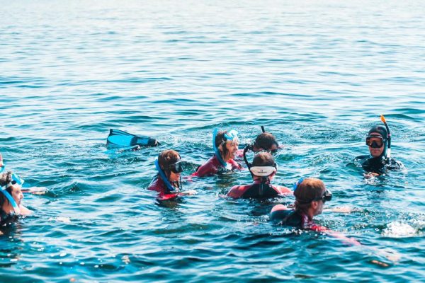 3205-snorkelen-in-sesimbra-1575398387