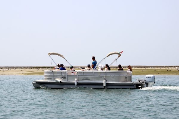 4671-ria-formosa-eiland-boot-1575399029