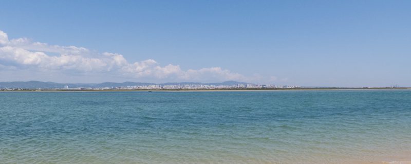 Boat Trips Ria Formosa