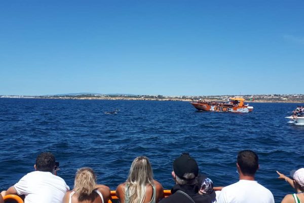 6130-geniet-van-een-geweldige-tijd-1600940061