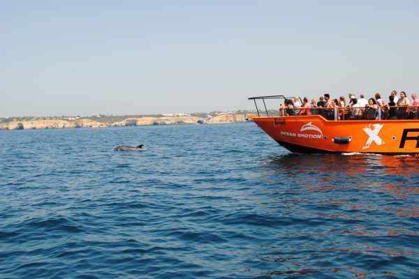 Boot dicht bij wilde dolfijnen in Albufeira