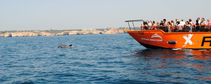 Boot dicht bij wilde dolfijnen in Albufeira