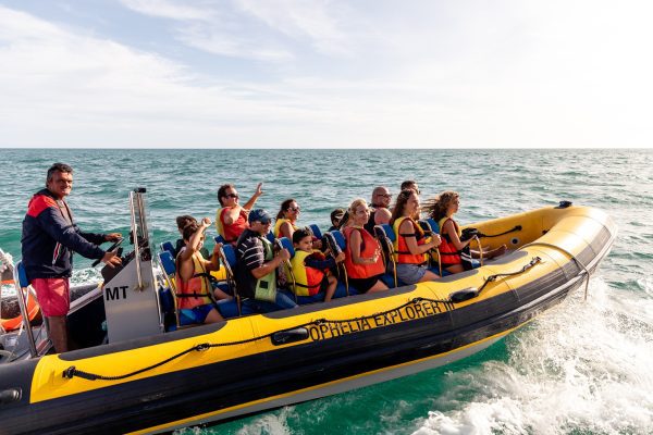 Dolphin watching boat in Portimão