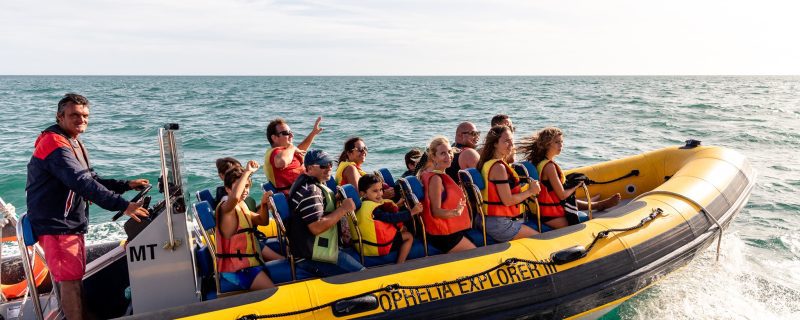 Dolphin watching boat in Portimão