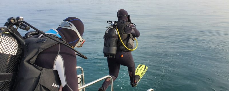 6851-primera-vez-buceo-en-albufeira-1611683146