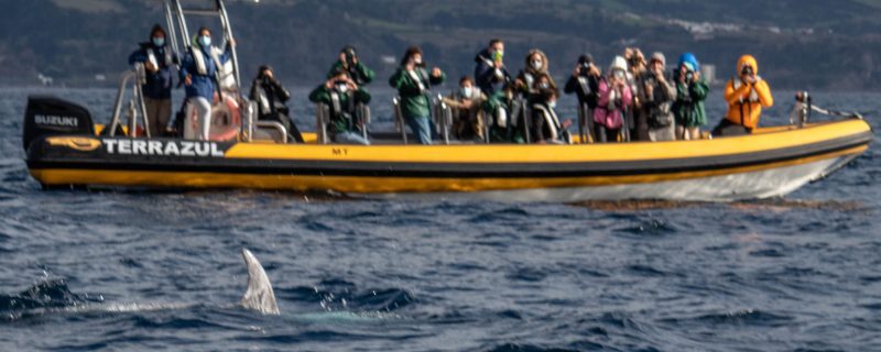 6976-come-on-board-the-boat-in-sao-miguel-1612872797