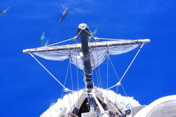 705-piraten-madeira-seebuchungen-1-1575397254