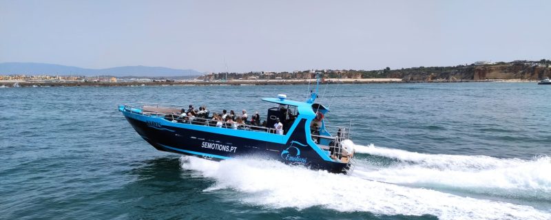 Speedy boat in the Algarve
