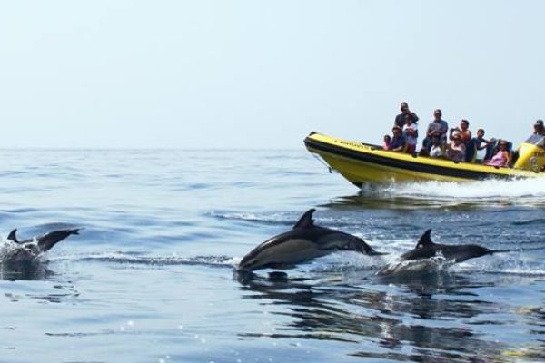 78-cuevas-y-observación-de-delfines-de-albufeira-encuentros-con-delfines-1575396926