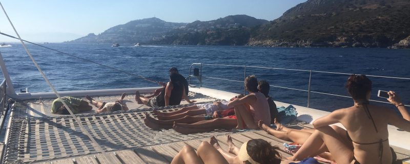 8729-swim-in-the-blue-water-1645890464