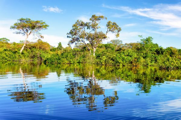 Vista do Amazonas a partir do rio