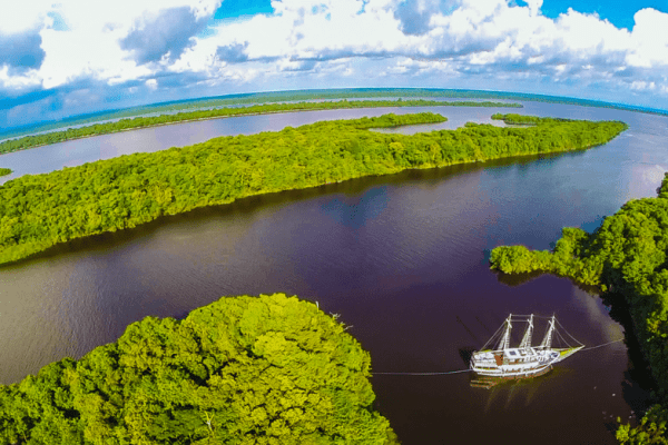 Passeio de barco para os golfinhos e para uma aldeia indígena a partir de Manaus