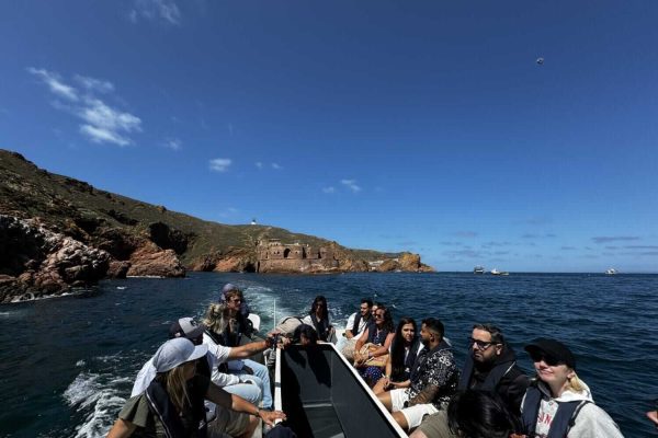 Boat tour to Berlenga Islands