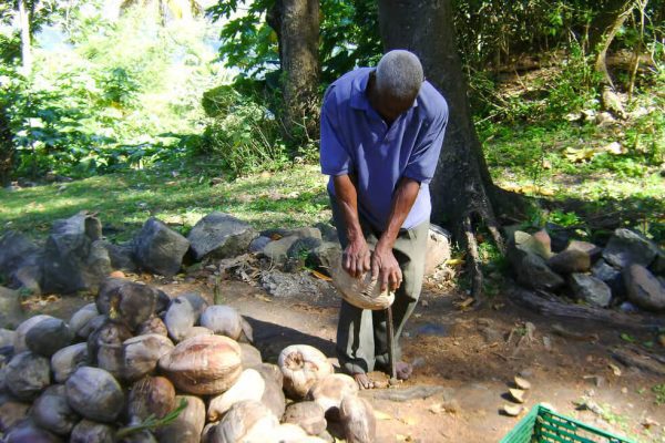 Catamaran Tour in St. Lucia1