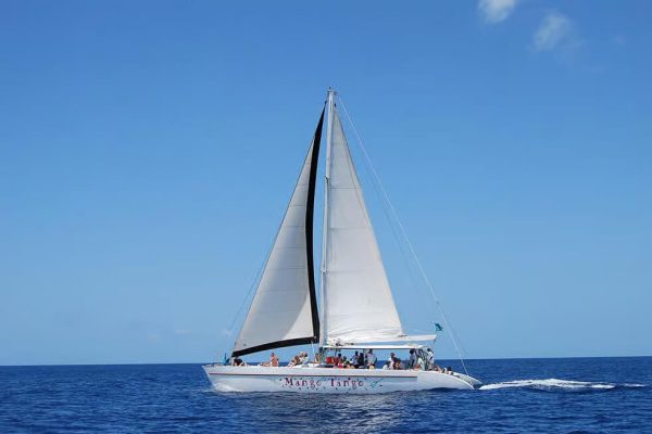 Catamaran Tour in St. Lucia2