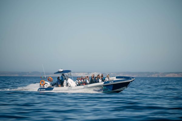Dolphins Lagos 6