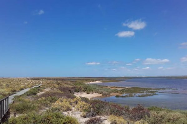 Ria Formosa Boat Cruise 2