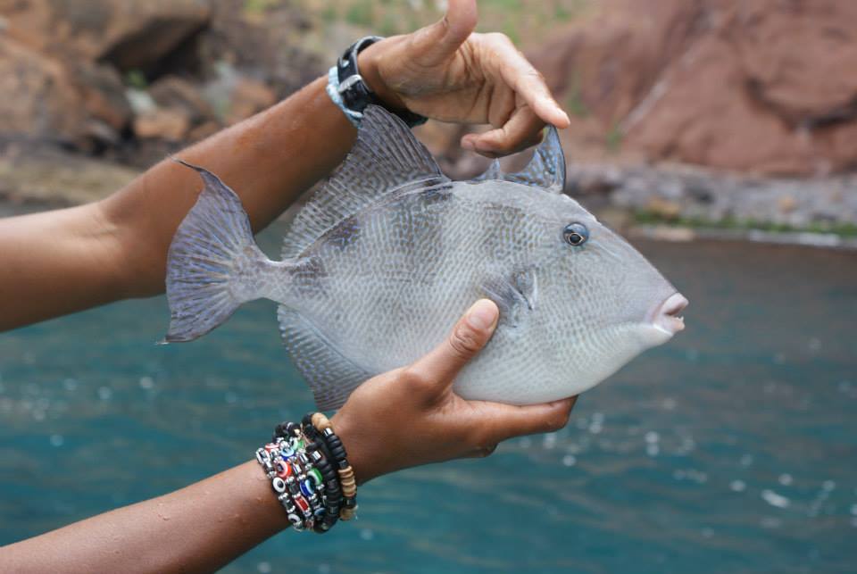 Fishing on Madeira Island with Captain Dave