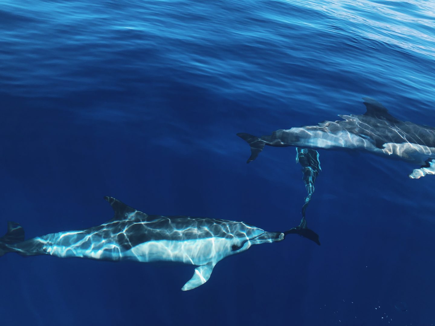 holidays in Madeira Emily 3